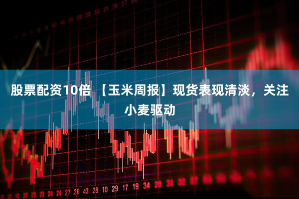 股票配资10倍 【玉米周报】现货表现清淡，关注小麦驱动