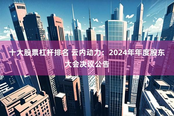 十大股票杠杆排名 云内动力：2024年年度股东大会决议公告
