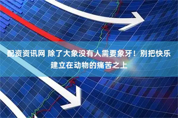 配资资讯网 除了大象没有人需要象牙！别把快乐建立在动物的痛苦之上